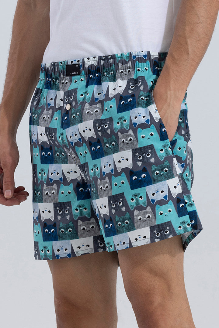 Inverted Cat Blue Boxer