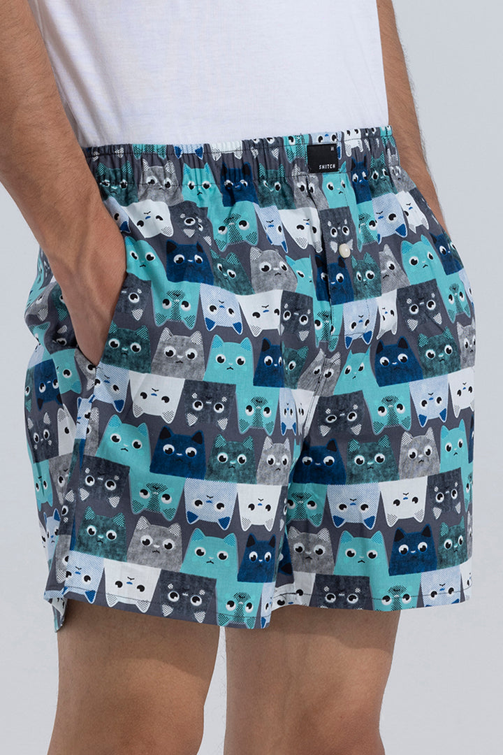 Inverted Cat Blue Boxer