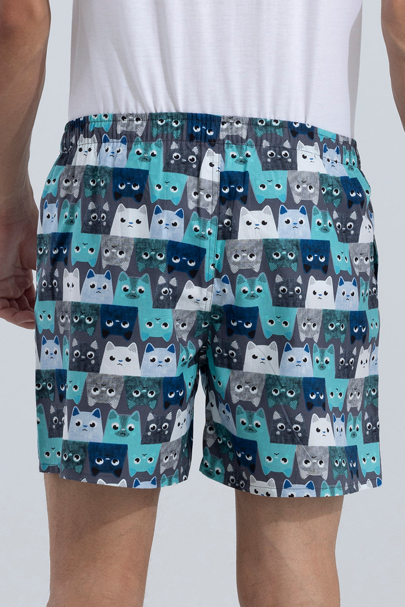 Inverted Cat Blue Boxer